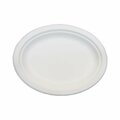 Green Wave International TW-POO-012 PE 10 x 12.5 in. Bagasse Evolution Oval Platter, White TW-POO-012  (PE)